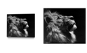 Eyes On Walls Dino Tomic Inverted Lion Art Block Framed Canvas 25" x 20"